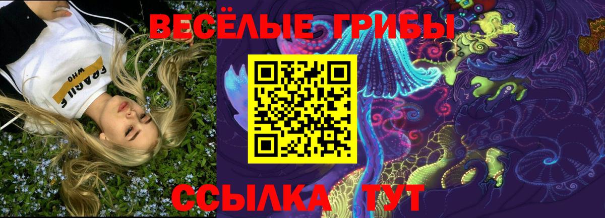 Псилоцибиновые грибы мицелий Буйнакск
