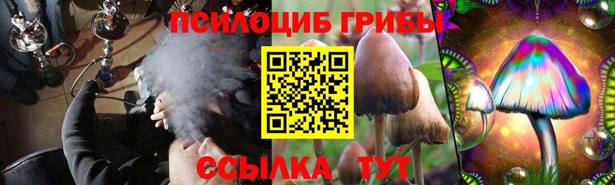 Буйнакск  Галлюциногенные грибы мухоморы  Вход с VPN 
