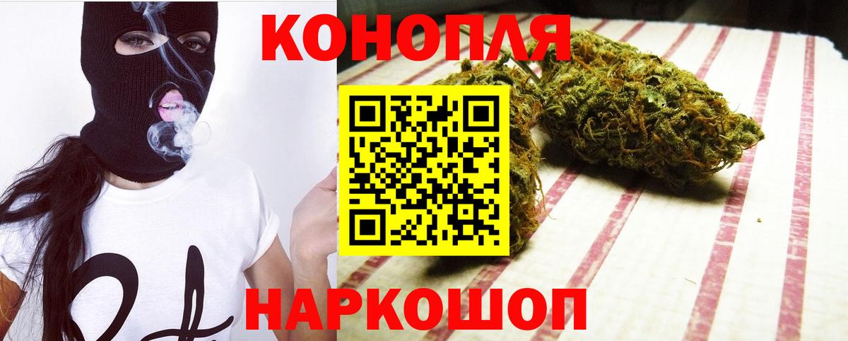 Конопля сатива Буйнакск